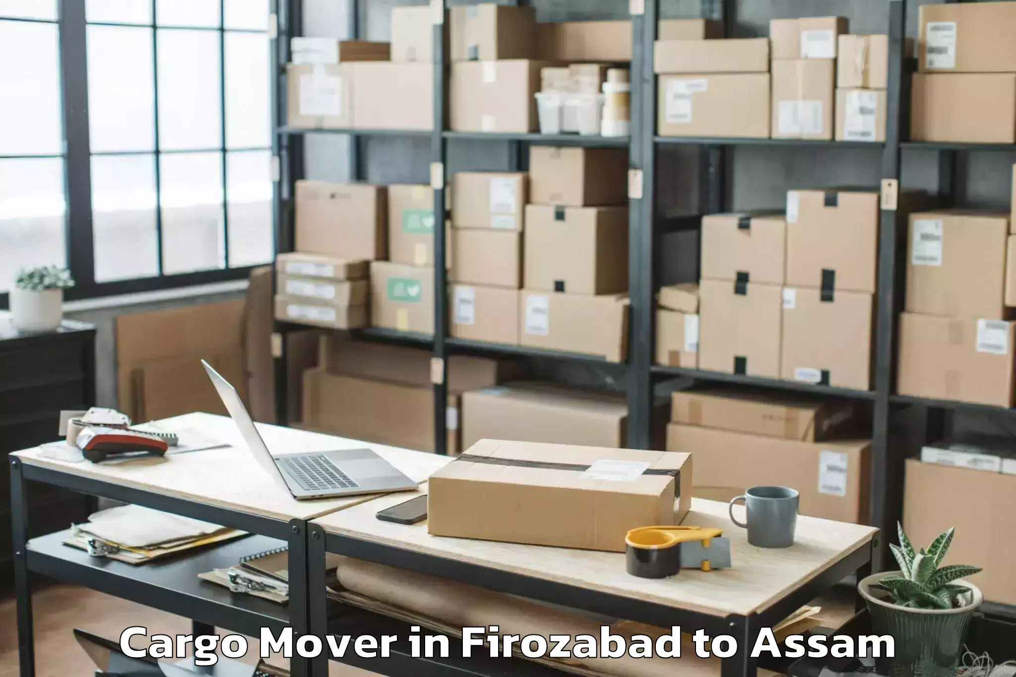 Top Firozabad to Naharkatiya Cargo Mover Available